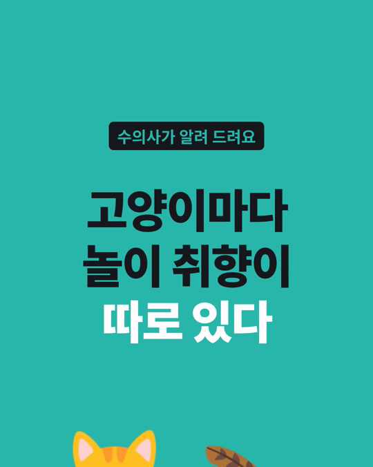 고양이마다 놀이 취향이 따로 있습니다.