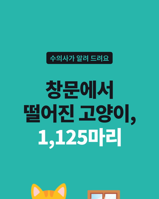 창문·베란다에서 떨어진 고양이 1,125마리가 알려 준 것