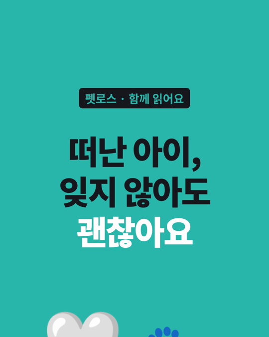 떠난 아이를 잊지 않아도 됩니다.