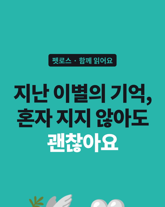 반려동물의 마지막을 곁에서 지킨 경험이 남기는 것