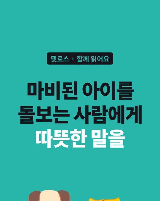 아픈 강아지를 오래 돌보는 보호자에게, 주변의 따뜻한 말이 힘이 될 수 있습니다.