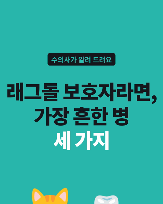 래그돌이 가장 자주 걸린 병은 치주질환·설사·비만이었습니다.