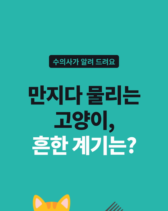 만지다 물리는 고양이, 가장 흔한 계기는 털 손질이었습니다.