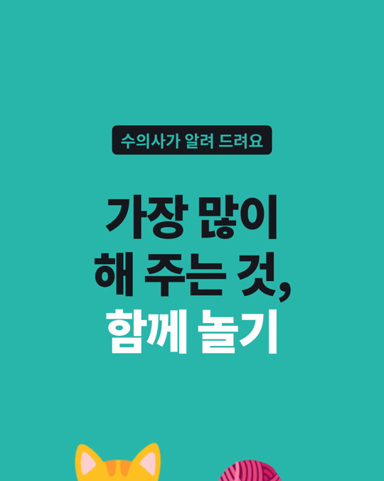 보호자들이 고양이에게 가장 많이 해 주는 것은 함께 놀기였습니다.