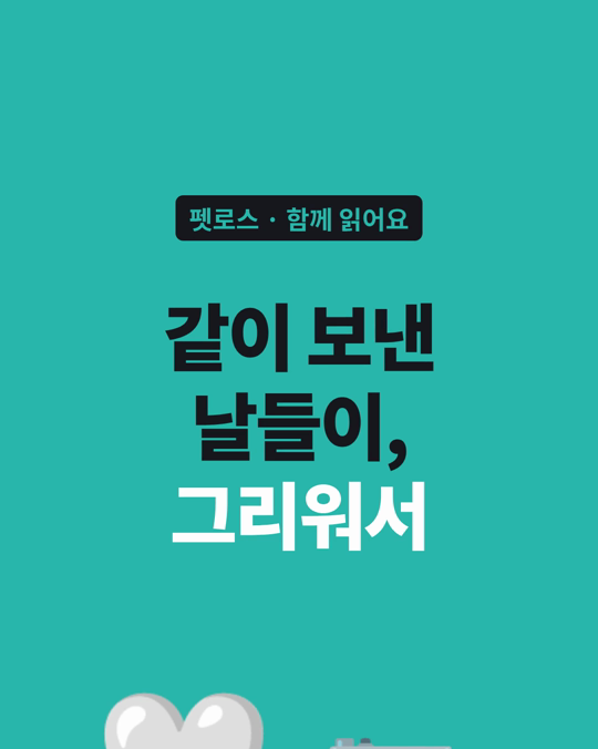 같이 보낸 날들이 그리워서, 아직 사진을 못 보시나요?