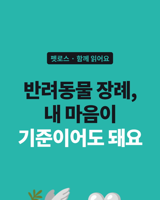 반려동물 장례, 남의 눈보다 내 마음이 기준이어도 됩니다.