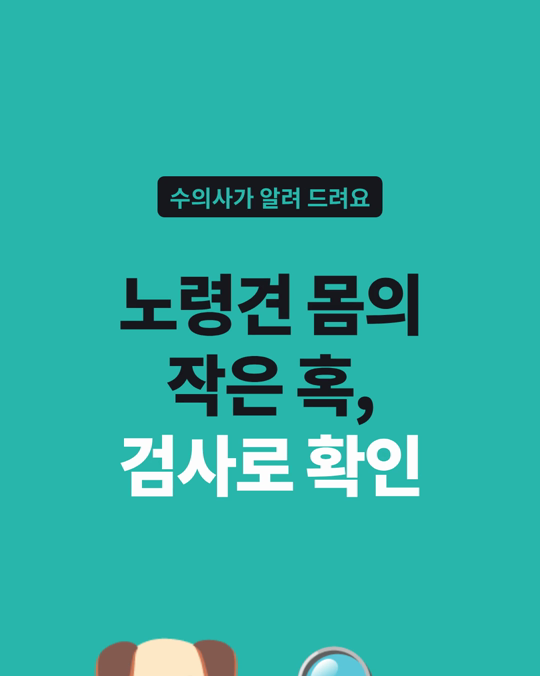 건강해 보이는 노령견, 확진된 암의 83%는 만져지는 혹 검사에서 나왔습니다.