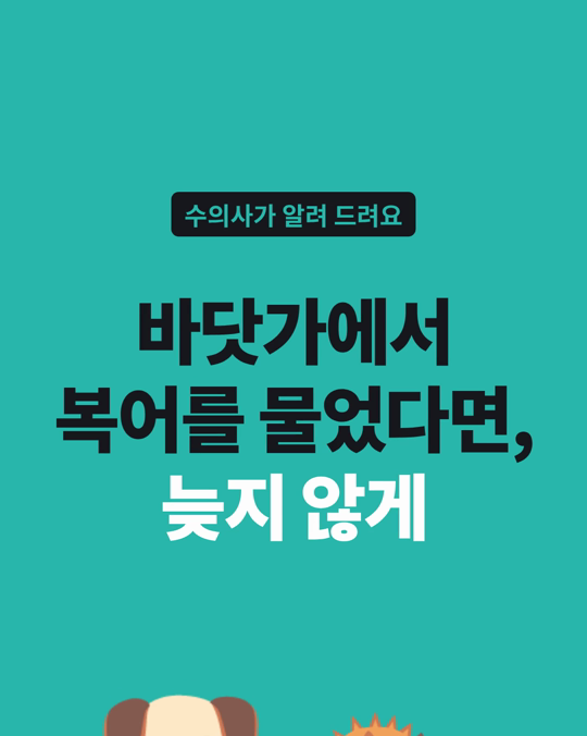 바닷가에서 복어를 문 강아지, 늦지 않게 병원에 가는 것이 중요했습니다.