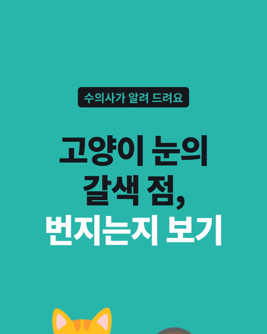 고양이 눈에 생긴 갈색 점, 천천히 번지는지 지켜봐야 합니다.