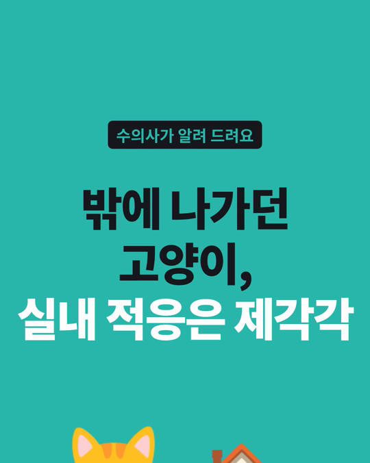 밖에 나가던 고양이를 실내로 — 적응은 고양이마다 달랐습니다.