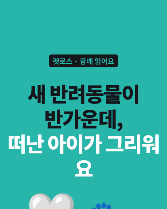 새로 온 반려동물이 반가우면서도, 떠난 아이가 그리운 마음