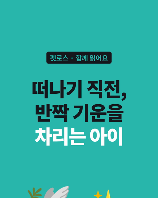 떠나기 직전 반짝 기운을 차리는 아이, 그날의 모습을 적어 두세요.