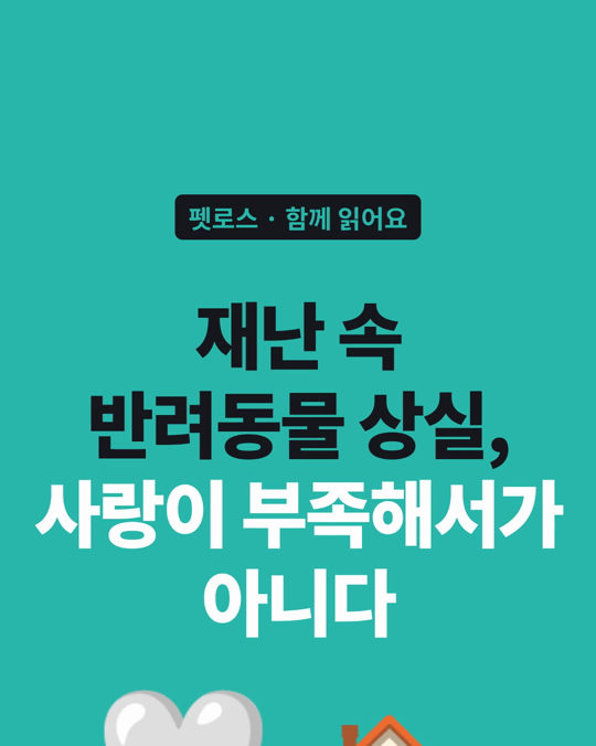 갑작스러운 재난 속 반려동물 상실, 사랑이 부족해서가 아닙니다.
