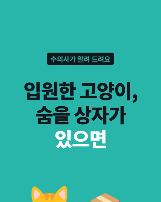 입원한 고양이, 숨을 상자가 있으면 스트레스 점수가 낮았습니다.