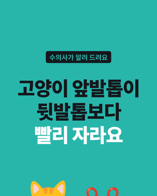 고양이 앞발톱은 뒷발톱보다 빨리 자랍니다.