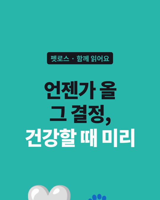 언젠가 올 그 결정, 건강할 때 미리 이야기해 두세요.