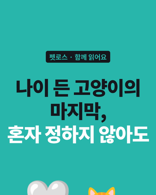나이 든 고양이의 마지막, 혼자 정하지 않아도 됩니다.