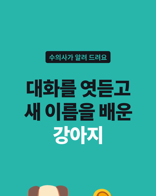 보호자가 다른 사람과 나누는 대화를 엿듣기만 해도, 새 장난감 이름을 배운 강아지들이 있었습니다.