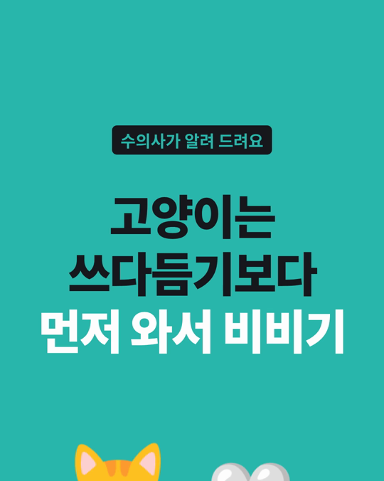 고양이는 쓰다듬기보다, 먼저 와서 비비는 것이 행복과 이어졌습니다.