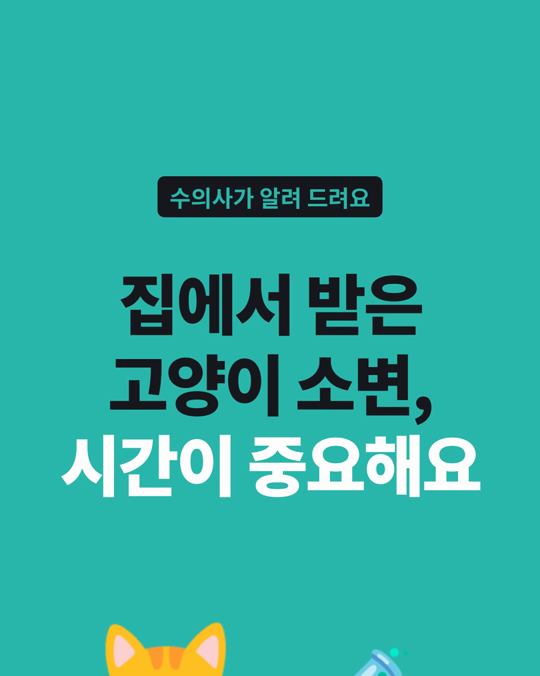 고양이 소변을 담아 둔 바닥재와 시간에 따라, 검사값이 달라질 수 있었습니다.