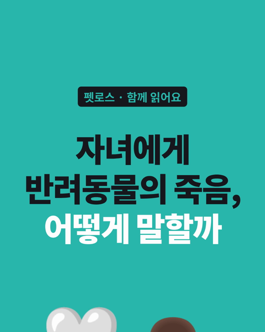 아이에게 반려동물의 죽음을 어떻게 말할까, 부모 28명도 같은 고민을 했습니다.