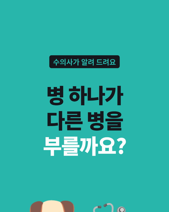 강아지도 병이 하나둘 쌓일수록 사망 위험이 높았습니다.