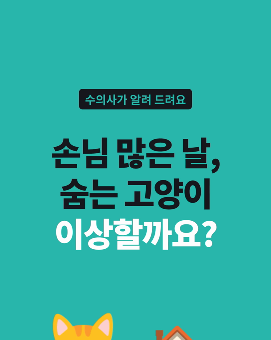 사람이 많아지면 고양이는 높은 곳과 고양이만의 공간을 찾았습니다.