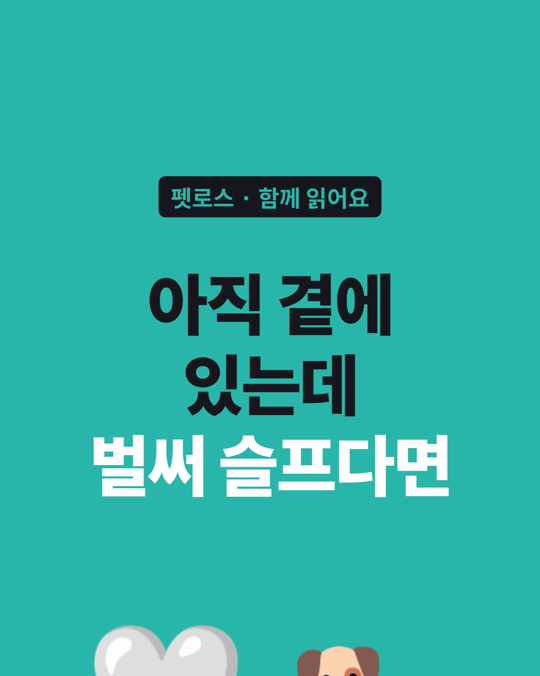아직 곁에 있는데 벌써 슬픈 마음, 이상한 것이 아닙니다.
