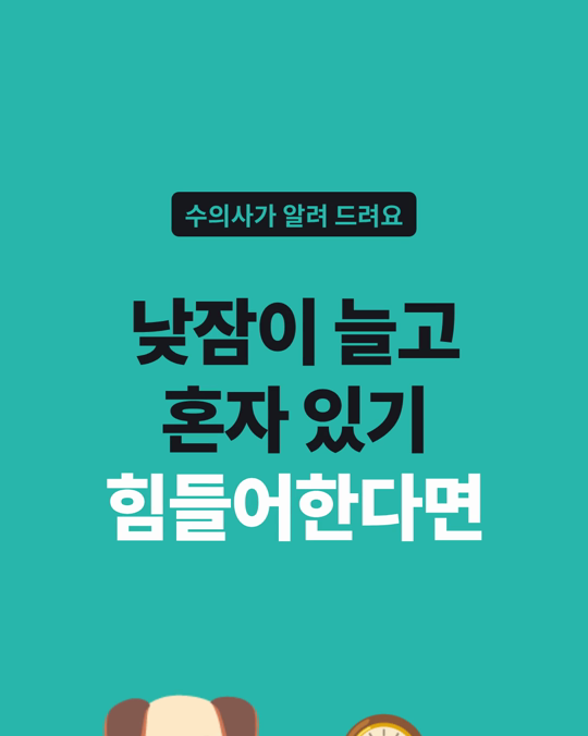 나이 든 강아지의 행동 변화, 반려견 치매의 신호일 수 있습니다.