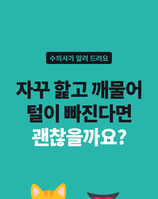 고양이 털 고르기, 정상과 이상은 이렇게 달랐습니다.
