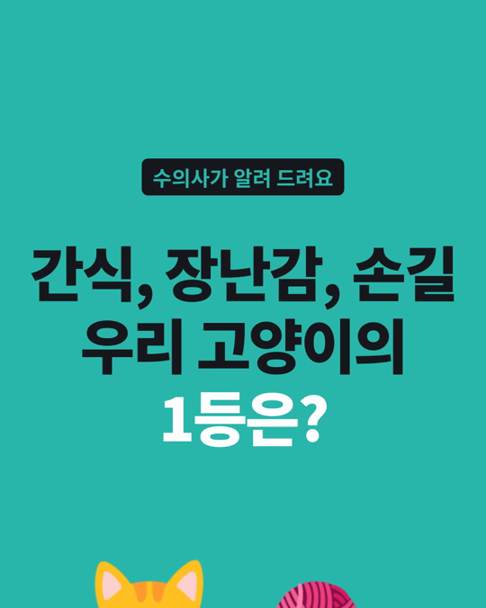 고양이가 가장 좋아하는 것, 찾아 두면 쓸 곳이 많습니다.