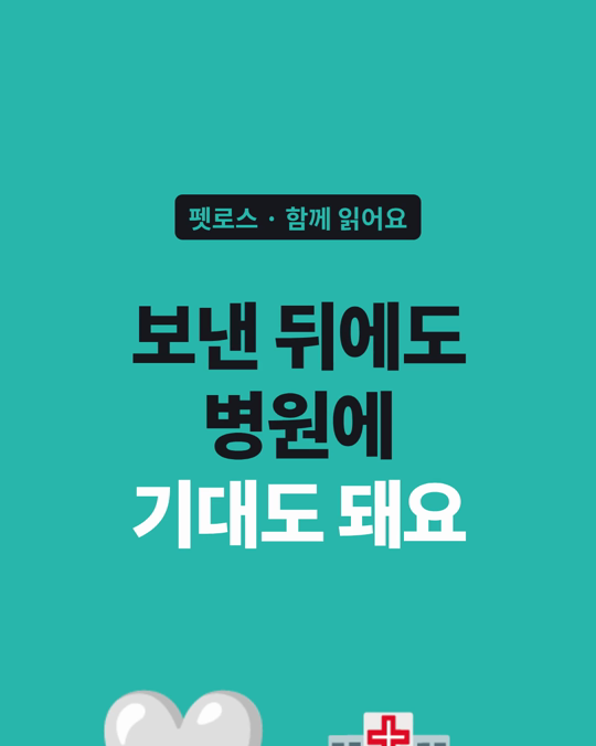 아이를 보낸 뒤에도, 동물병원에 기대도 됩니다.