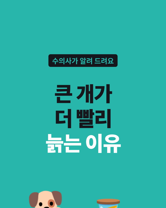 큰 개와 수컷 개는 몸속 노화가 더 빨랐습니다.