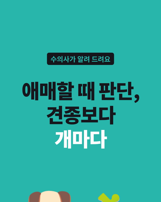 애매한 상황에서의 판단, 견종보다 개마다 달랐습니다.