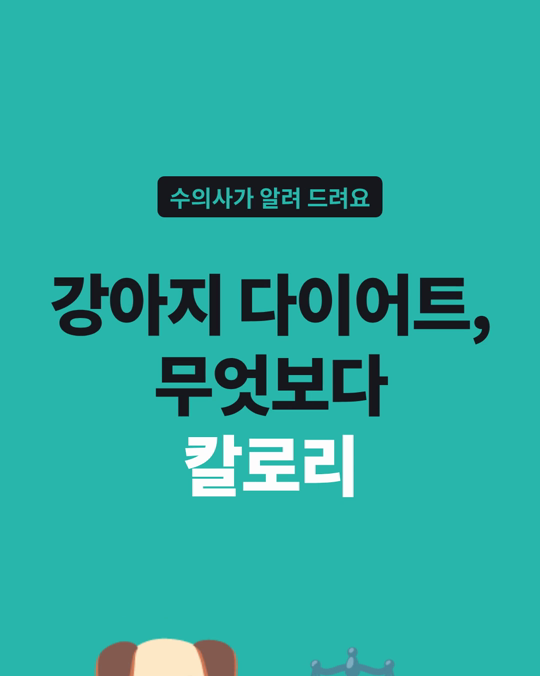 사료든 집밥이든, 칼로리를 줄이니 체중이 비슷하게 빠졌습니다.