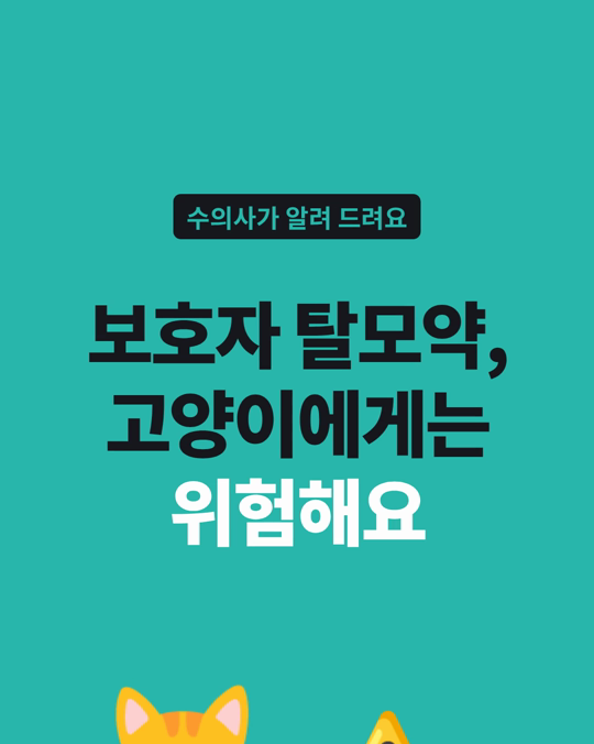 보호자의 탈모약 미녹시딜, 고양이에게는 몇 방울도 위험할 수 있습니다.