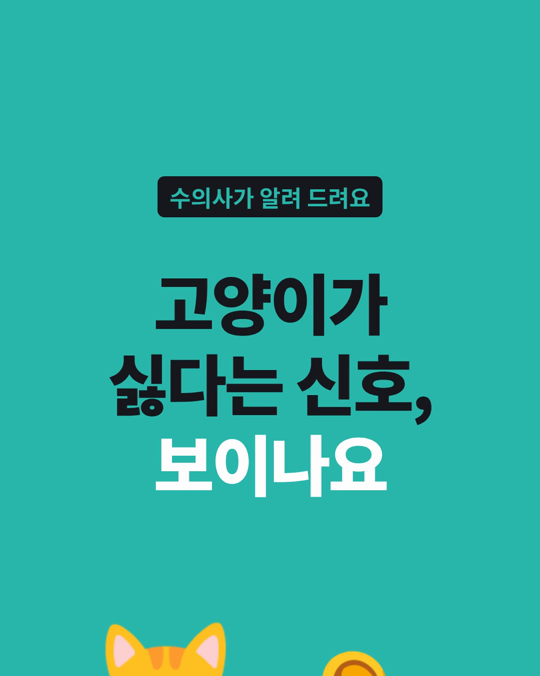 고양이가 불편해하는 미묘한 신호, 수의대생들도 자주 잘못 읽었습니다.