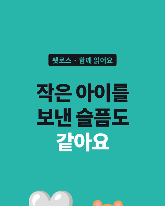 개·고양이가 아닌 아이를 보낸 슬픔도, 정이 깊었다면 같은 슬픔이었습니다.