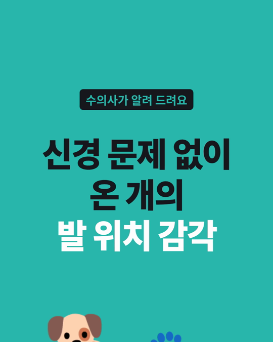 신경 문제로 병원에 오지 않은 개에게서도 발 위치 감각 이상이 보였습니다.