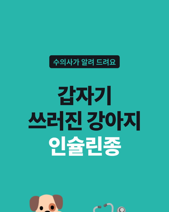 강아지 인슐린종에서 가장 흔히 보고된 증상은 발작·쓰러짐·근육 떨림이었습니다.