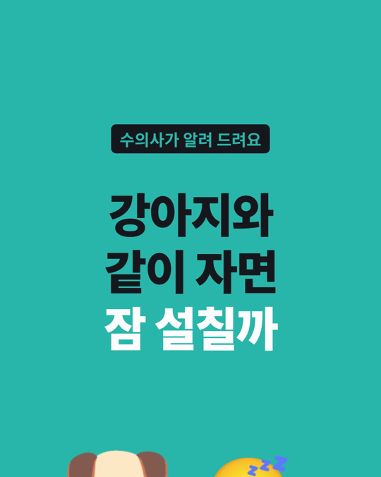 강아지와 같이 자는 것과 사람의 수면에 대해, 가속도계로 잰 연구가 있었습니다.