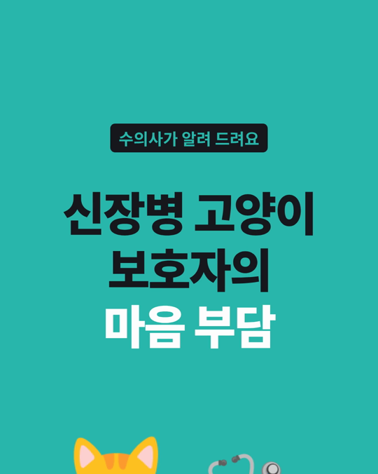 신장병 고양이를 돌보는 보호자의 46%가 의미 있는 부담 기준을 넘었습니다.
