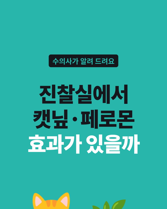 고양이 병원 스트레스, 캣닢이나 얼굴 페로몬으로 달라질까요?