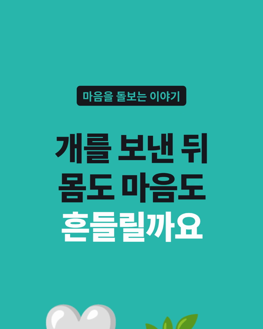 펫로스로 개를 막 떠나보낸 보호자는 개를 기르는 보호자보다 스트레스가 높고 삶의 질이 낮은 경향이 연구에서 나타났습니다.