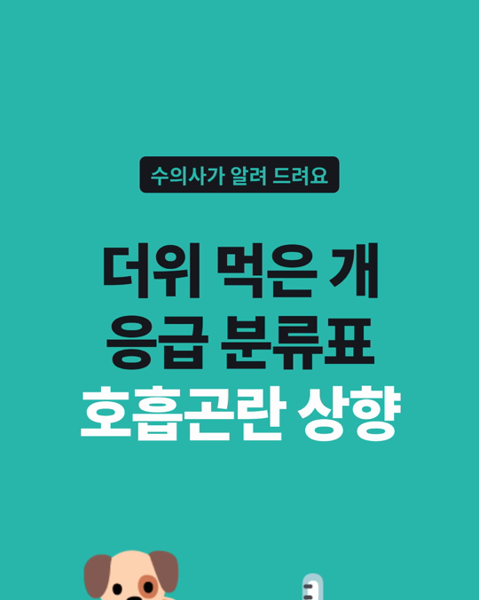 강아지 열 관련 질환 중증도 표에서 호흡곤란은 한 등급 올랐습니다.