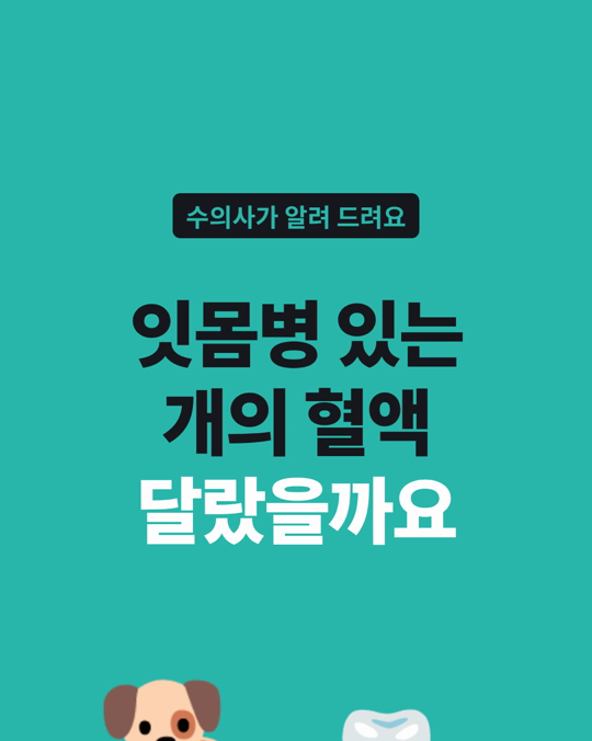 강아지 치주질환이 있는 개는 혈액의 염증·산화 스트레스 표지자가 더 높았습니다.