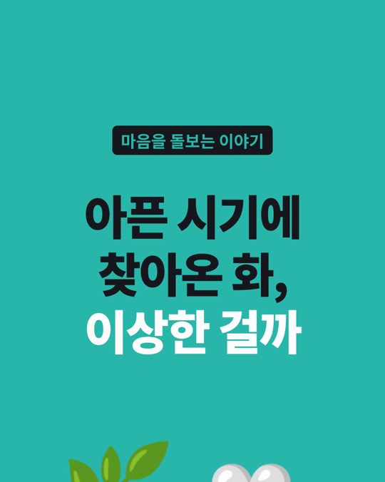 반려동물이 아픈 시기에 올라온 화, 이상한 마음이 아닐 수 있습니다.