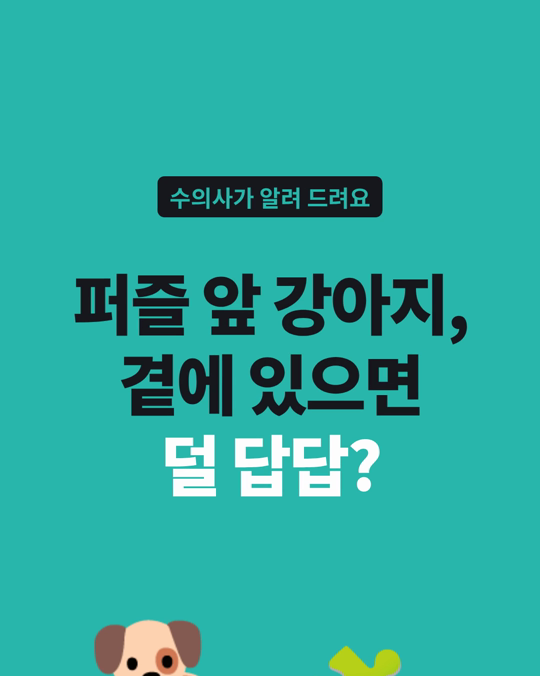 강아지 퍼즐 장난감 앞에서, 보호자가 곁에 있던 강아지는 좌절 행동이 더 적었습니다.