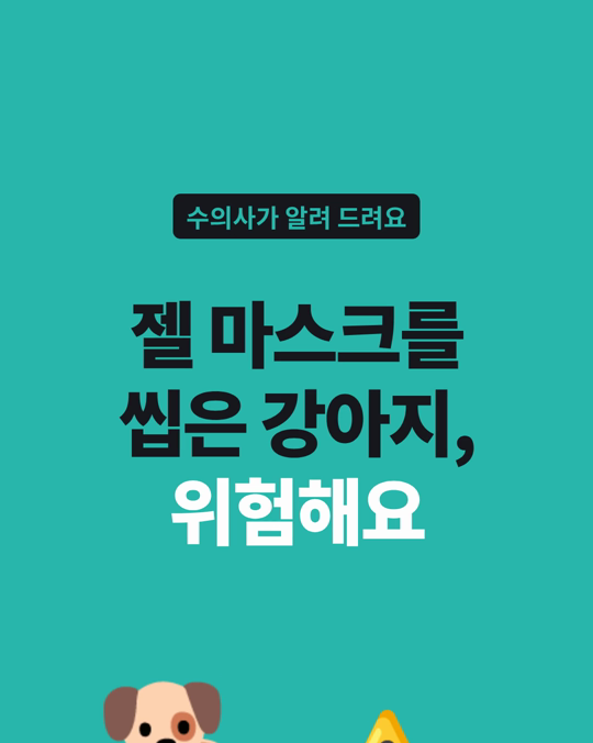 강아지가 젤 마스크나 두통 캡을 씹었을 때, 미국 중독 상담 사례를 정리했습니다.