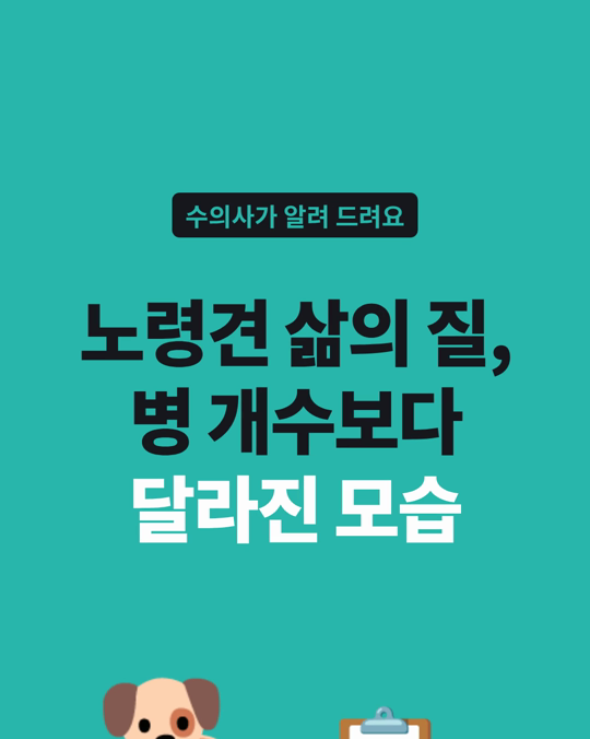 노령견 삶의 질은 병의 개수보다 만지면 예민해지는 변화와 관련이 있었습니다.